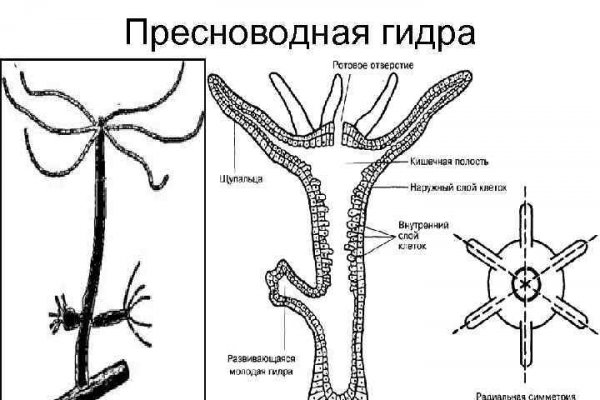 Кракен найдется все