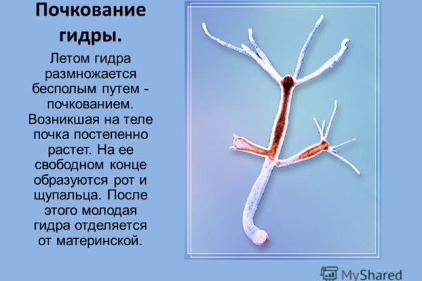 Как зарегистрироваться в кракен в россии